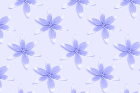 Repetitive pattern made from head of wild tulip flowers on a purple background. Monochrome...