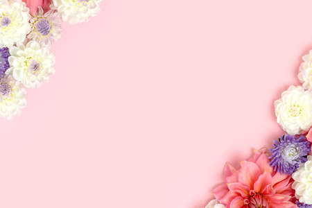 Dahlia and aster flowers on a pink pastel background with copyspace. Springtime frame. Tenderness concept for greeting cards.の写真素材