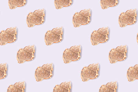 Repetitive pattern made from seashells. Creative layout on a blue background. summer concept.