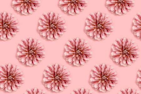 Dahlia flowers pattern on a pink pastel background. spring time delicate composition.
