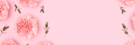 Banner with carnation flowers and eucalyptus branches scattered on a pink background. Place for your...