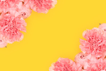 Pink carnation and rose flowers on a yellow background. Place for text.の写真素材