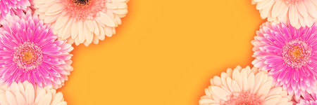 Banner with frame made of gerbera flowers on a yellow background.の写真素材