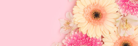 Banner with closeup of gerbera and alstroemeria flowers on a pink background. Floral composition with place for your design.の写真素材