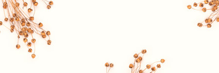 Banner with branches of dry flax flowers on a beige background. selective focus.の写真素材