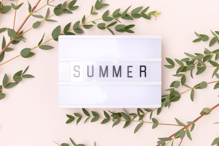 Lightbox with word Summer. Eucalyptus branches on a beige background.の写真素材