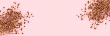 Banner with bouquets of dried flax flowers on a pink background with copy space. selective focus.の写真素材