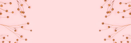 Banner with border frame made of dried flax flowers on a pink background. selective focus.の写真素材