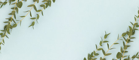 Banner with eucalyptus branches on a blue background. Place for text.
