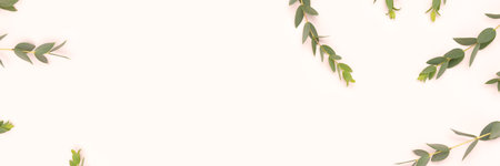 Banner with eucalyptus branches scattered on a beige background. Selective focus.の写真素材