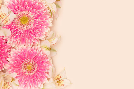 Gerbera and alstroemeria flowers on a beige background. Place for your design.の写真素材