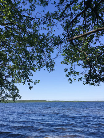 Beautiful lake with blue water. Tree branches in the foreground.の写真素材