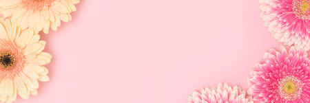 Banner with frame made of gerbera flowers on a pink background.の写真素材