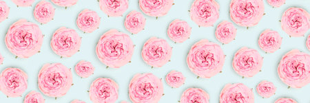Banner with pattern made of pink rose flowers on a blue background.の写真素材