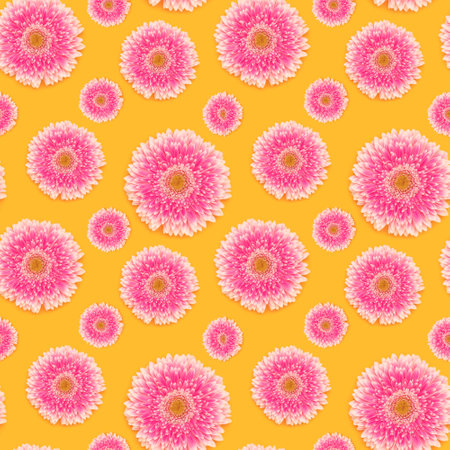 Seamless pattern made of pink gerbera flower on a yellow background. floral composition.の写真素材