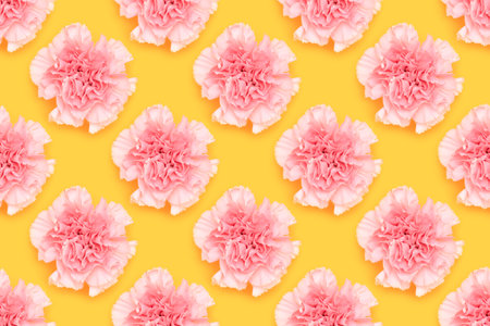 Pattern made of pink carnation flower on a yellow background.の写真素材