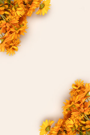 Frame made of arnica flowers on a gray background. Summer composition with place for text.の写真素材