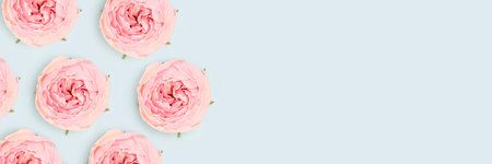 Banner with pink rose flowers scattered on a blue background. springtime composition.
