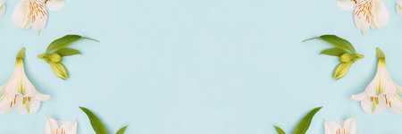 Banner with white alstroemeria flowers and green leaves scattered on a blue background. springtime creative concept.の写真素材