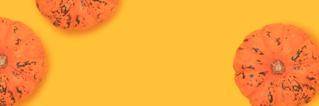 Banner with frame made of orange pumpkins on a yellow background. Concept with place for text.