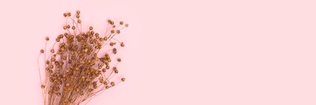 Banner with bouquet of dry flax flowers on a pink background with place for text. Selective focus.の写真素材