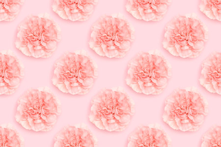 Pattern made of carnation flower on a pink background. Floral concept.の写真素材