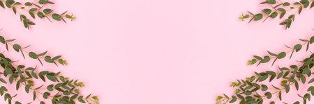 Banner with frame made of eucalyptus branches on a pink background.の写真素材