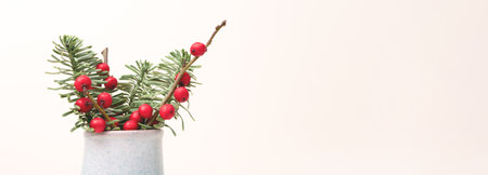 Banner with bouquet of nobilis fir and winterberry branches in front of beige background.