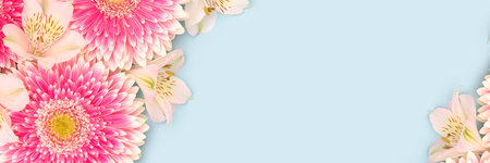 Banner with gerbera and alstroemeria flowers on a blue background. Place for text.の写真素材