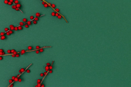 Branches of red winterberry scattered on a green background. Place for text.の写真素材