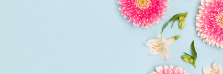 Banner with gerbera and alstroemeria flowers on a blue background.の写真素材