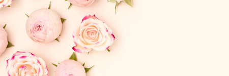 Banner with rose flowers on a beige background. Place for text.