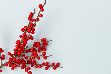 Branch of red winterberry on a blue background. Place for text.の写真素材