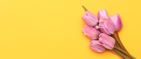 Banner with bouquet of pink tulip flowers on a yellow background.の写真素材