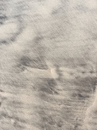 Texture of a wet sand. Natural abstract background.