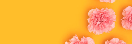 Banner with pink carnation flowers on a yellow background.の写真素材