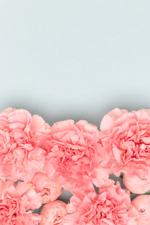 Pink carnation and rose flowers on a blue background. Place for text.