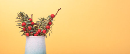 Banner with nobilis fir and winterberry branches in front of golden background.の写真素材