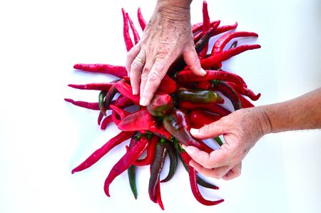 hands on red and green peppersの写真素材