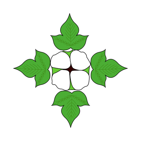 Cotton hand drawn sketch illustration with plant, isolated. Ingredient for fabric, treatment, cosmetics.のイラスト素材