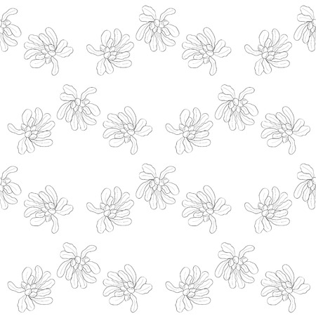 Shea tree nuts plant, berry, fruit natural organic butter ingredient. Hand drawn sketch illustration. Treatment, cosmetics, food ingredient, seamless patternのイラスト素材