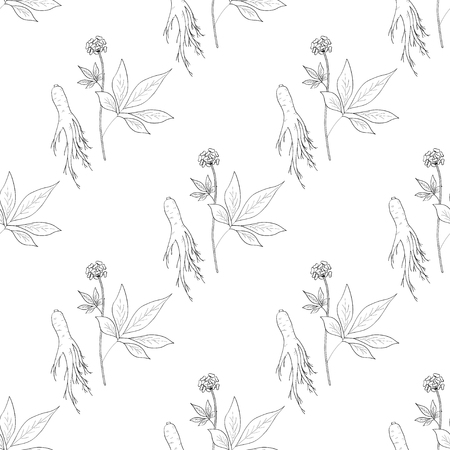 Root and leaves panax ginseng, sketch style. Hand draw vintage illustration of medicinal plants. For traditional medicine, gardening. Biological additives are. Seamless pattern.のイラスト素材
