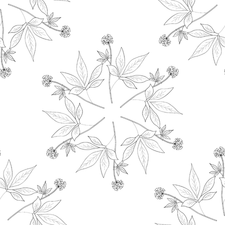 Root and leaves panax ginseng, sketch style. Hand draw vintage illustration of medicinal plants. For traditional medicine, gardening. Biological additives are. Seamless pattern.のイラスト素材