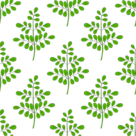 Moringa oleifera, medicinal plant. Hand drawn botanical sketch illustration in color, seamless pattern.のイラスト素材
