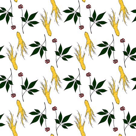 Root and leaves panax ginseng, sketch style, seamless pattern. Hand draw vintage illustration of medicinal plants in color.のイラスト素材