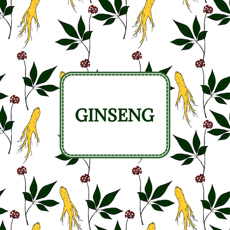 Root and leaves panax ginseng, sketch style. Hand draw vintage illustration of medicinal plants, background. For traditional medicine, gardening. Biological additives are.のイラスト素材