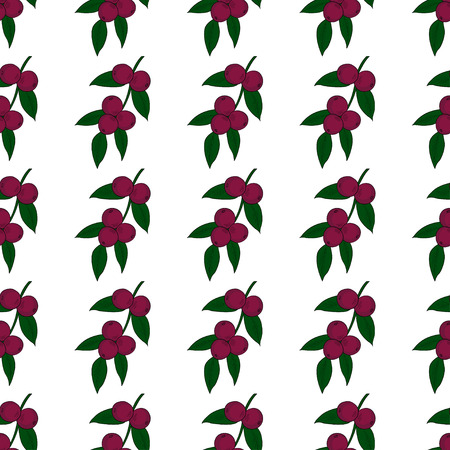 Camu camu berry, fruit, leaf branch. Superfood organic berry. Hand drawn sketch illustration. Seamless pattern in color.のイラスト素材