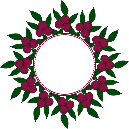 Camu camu berry, fruit, leaf branch. Superfood organic berry. Hand drawn sketch illustration. Frame, border in color.のイラスト素材