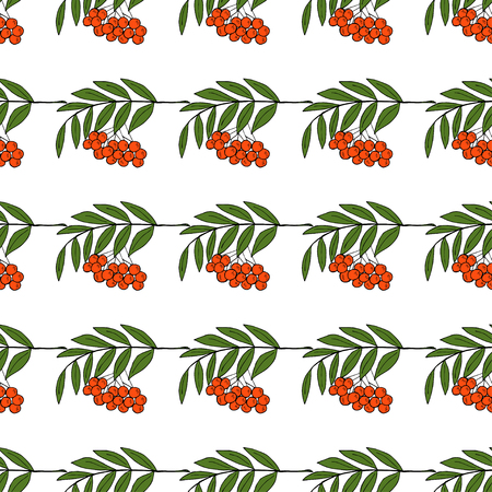 sketch rowan with berries, liner, in color, seamless 1のイラスト素材