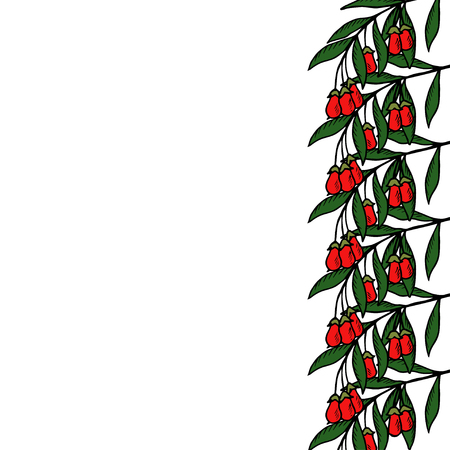 Goji berries (berry) on its branches in detailed color, can be used as border designのイラスト素材
